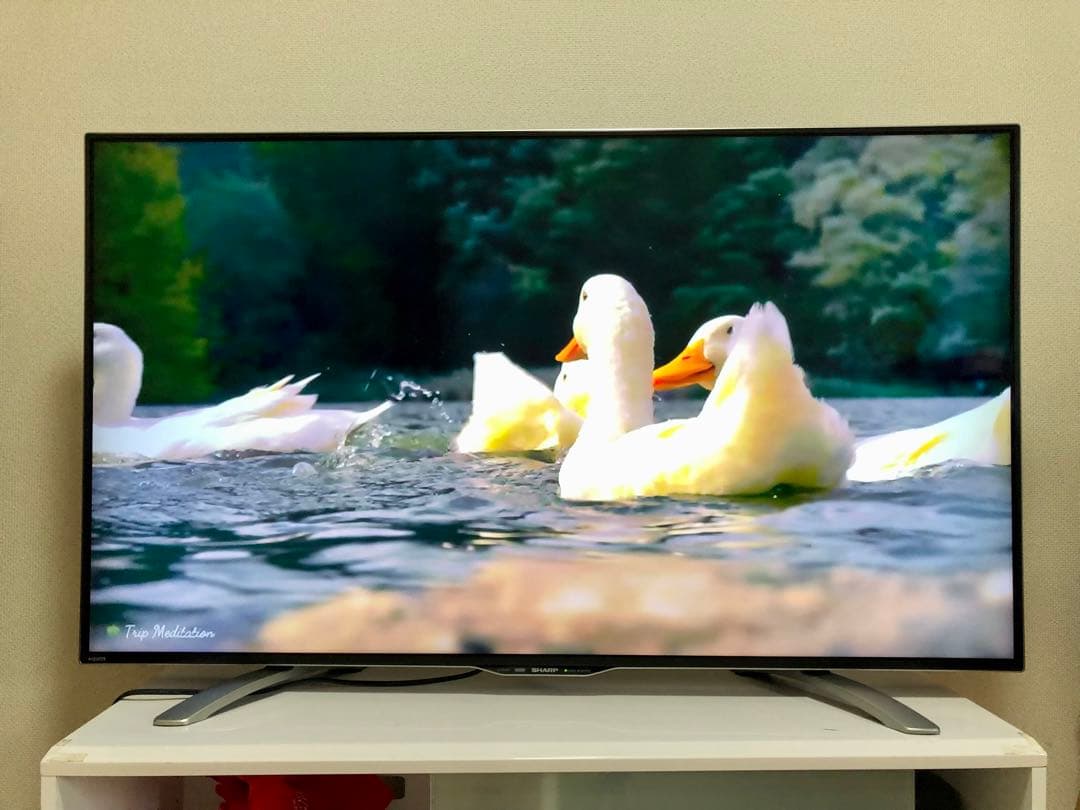 美品 SHARP 50インチ 4K 液晶テレビ LC-50U30 50型