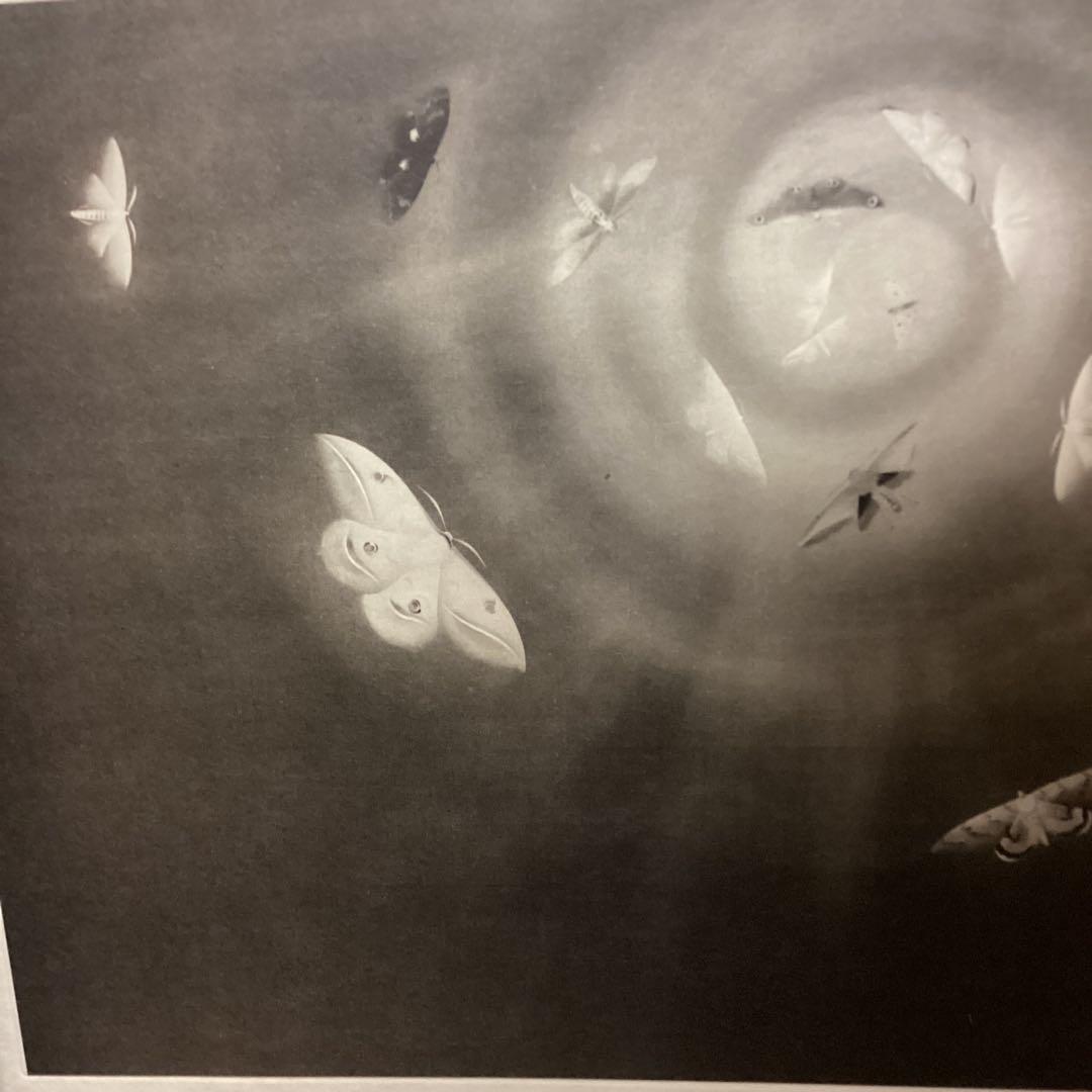 天才画家速水御舟　作品集大作編便利堂監修　画集NO 18 【昆虫二題粧蛾舞戯】