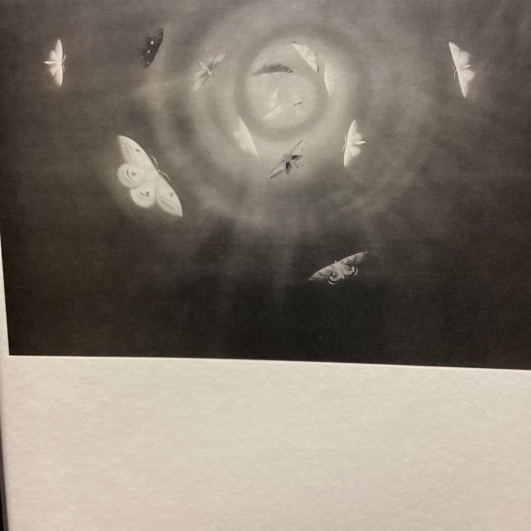 天才画家速水御舟　作品集大作編便利堂監修　画集NO 18 【昆虫二題粧蛾舞戯】