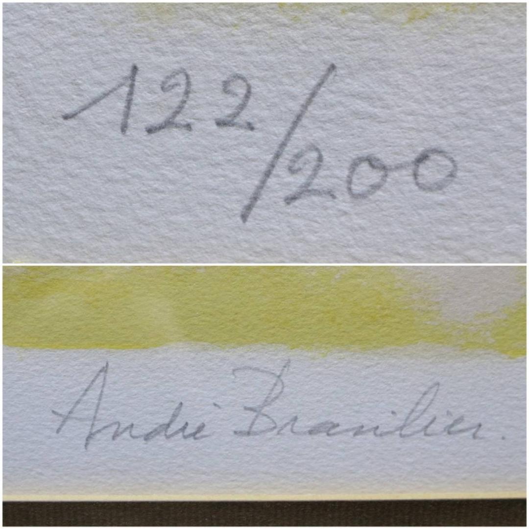 『ソミュールの黒い馬』Andre Brasilier リトグラフ 石版画 額装