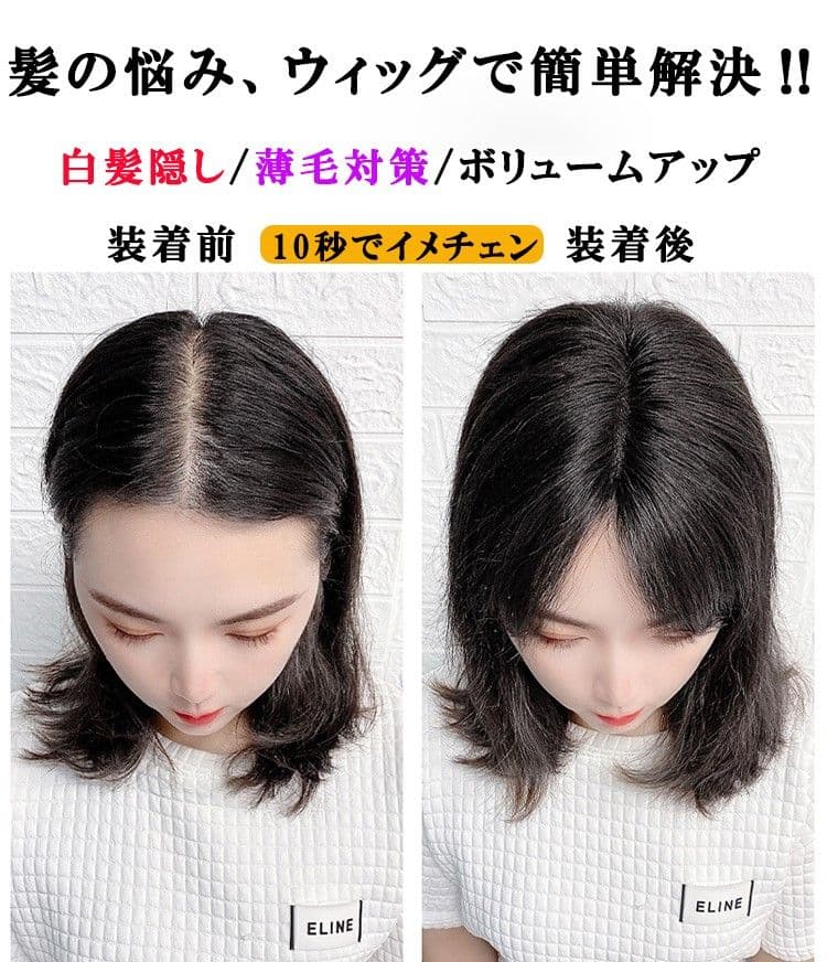 人毛100％ ヘアピース 総手植え 分け目自由 超軽量 蒸れにくい 装着簡単