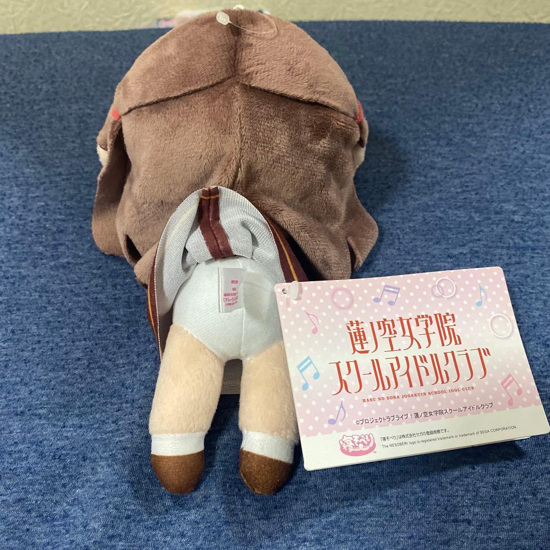 蓮の空　藤島慈　寝そべり