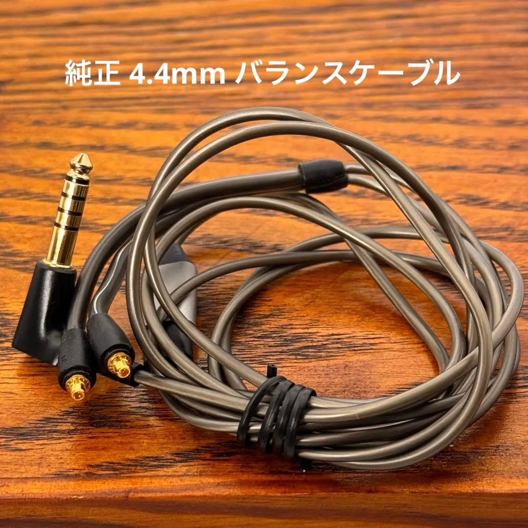Sennheiser IE900 ゼンハイザー【付属品完備*正規品】