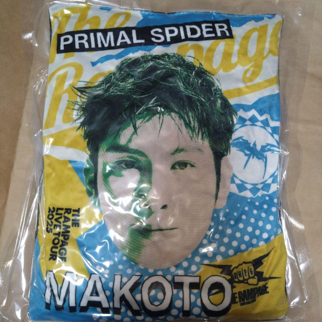 長谷川慎　巡らせる糸　クッション　レア