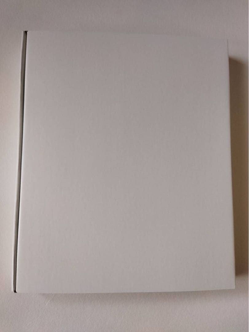 ダンガンロンパ 澪田唯吹 オンラインくじ A賞 キャンバスボード