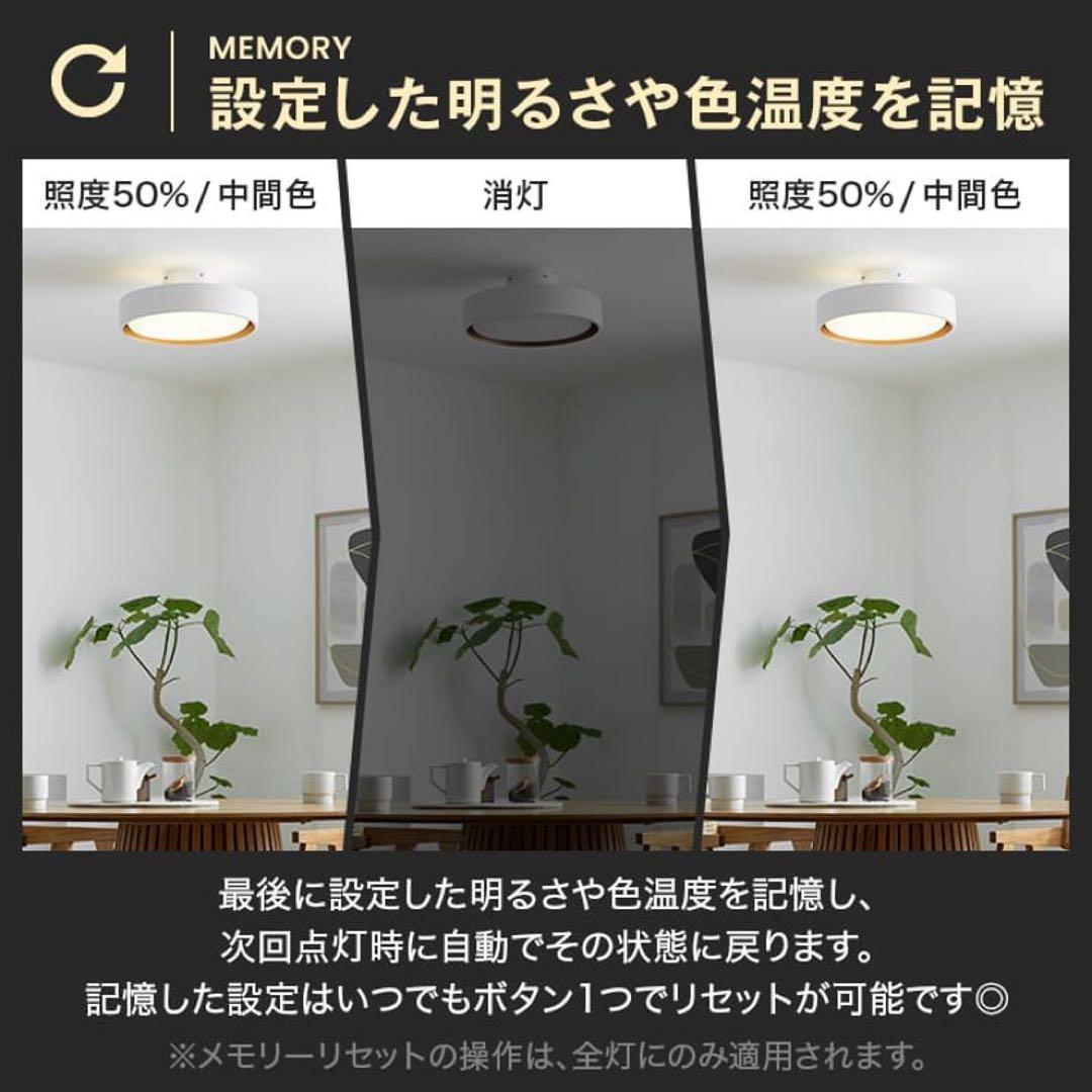 円形ブラックシーリングライト