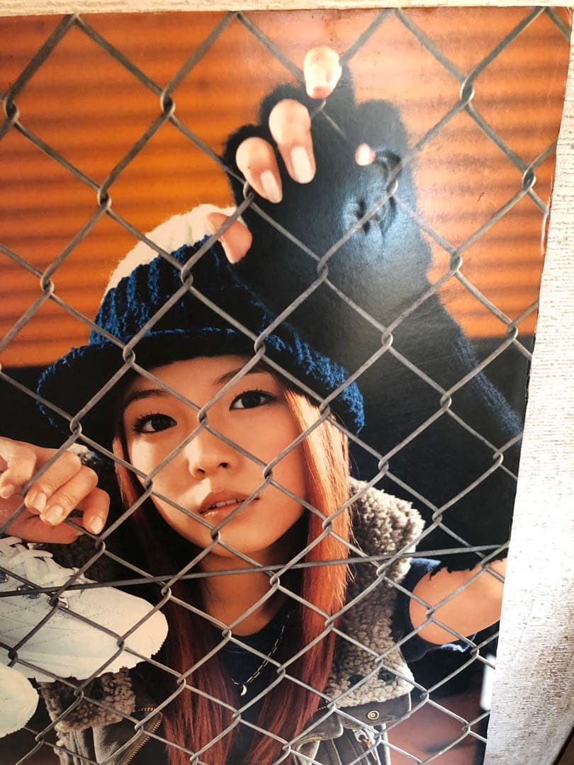 BoA 非売品　レア　パネル　スケッチャーズ skechers ②ボアちゃん近し