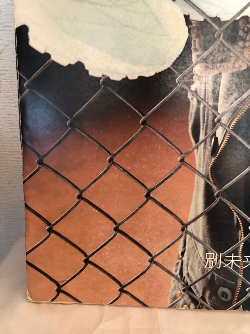 BoA 非売品　レア　パネル　スケッチャーズ skechers ②ボアちゃん近し