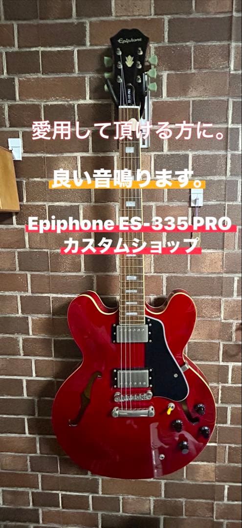Epiphone ES-335 PROカスタムショプ