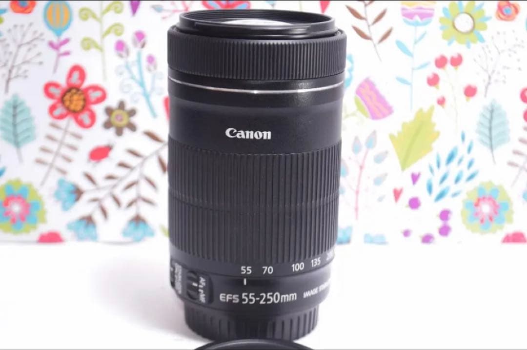 美品❤️超静音レンズ❤️Canon EF-S 55-250mm IS STM