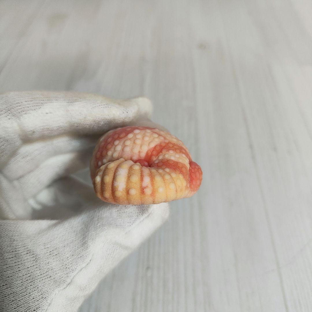 新年企画【動物の惑星】★ヒョウモントカゲモドキ（脱皮版）88体限定! フィギュア