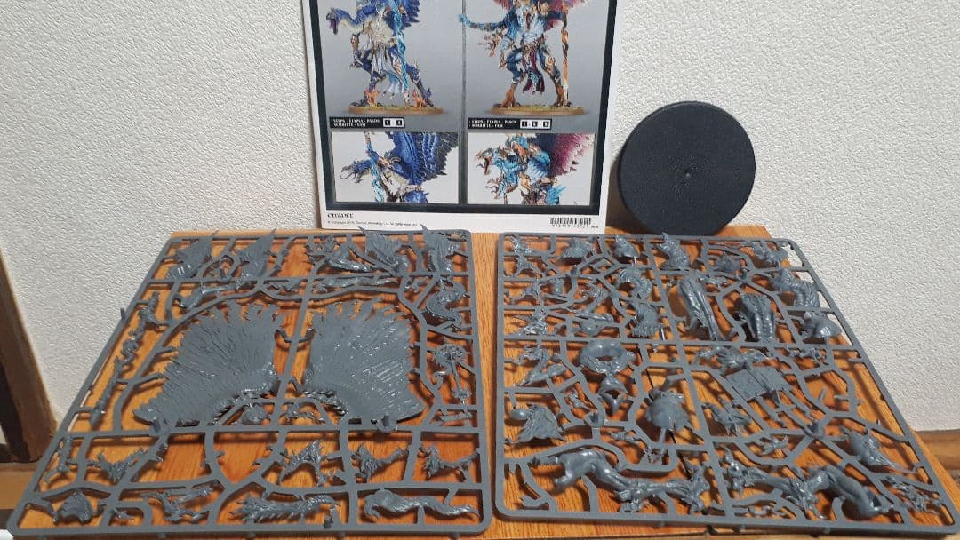 warhammer Disciples of Tzeentch ジャンクセット