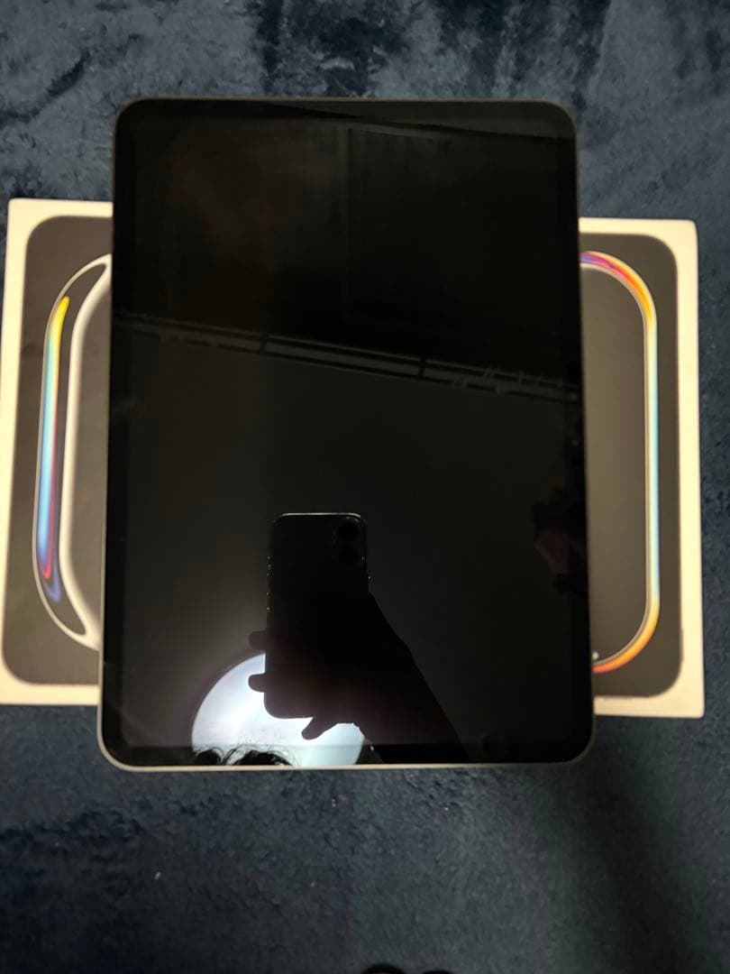 iPad Pro 11 M4 256GB スペースグレー