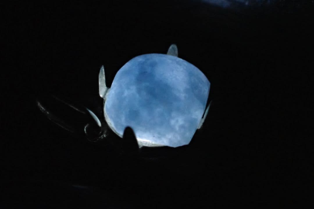 糸魚川翡翠　入コン沢　青　10金　ペントップ　④　送料無料