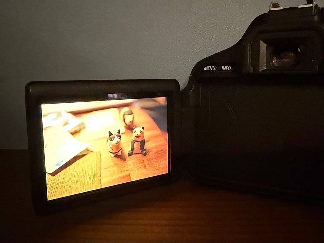 Canon EOS Kiss X5 本体 BODY マニュアル本SDカード付