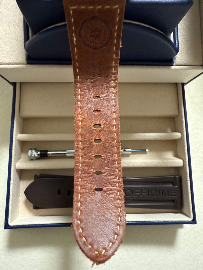 ふるーつぐれーぶ　パネライ　ルミノール　トレジョルニ　47mm