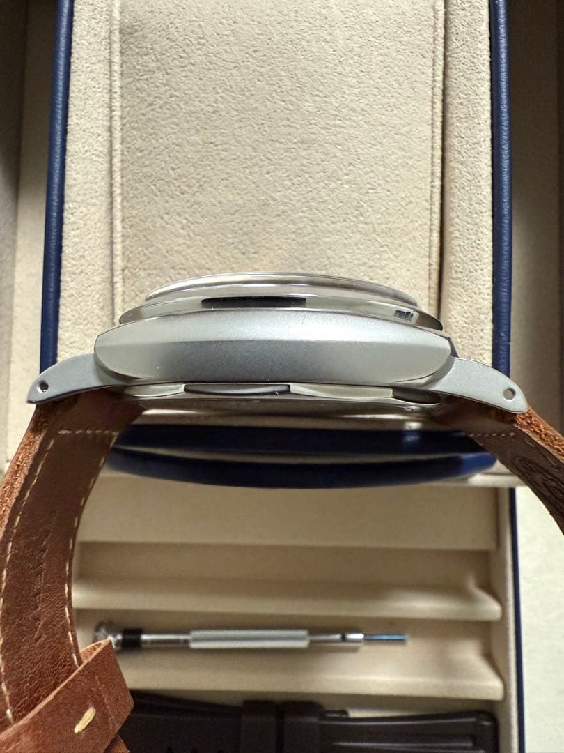 ふるーつぐれーぶ　パネライ　ルミノール　トレジョルニ　47mm