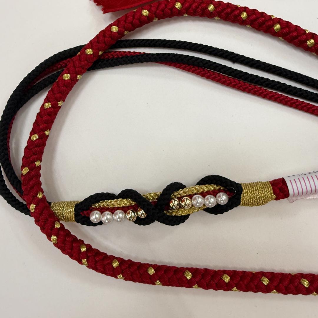 振袖フルセット 黒 刺繍 成人式 草履バック付 裄64.5cm S-200