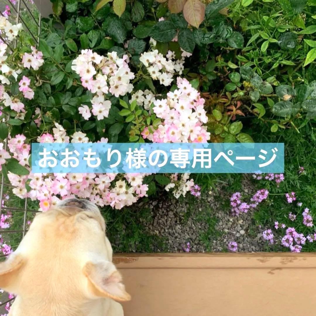 おおもり様の専用　犬服　フレブル　裏フリースのベスト　ハンドメイド