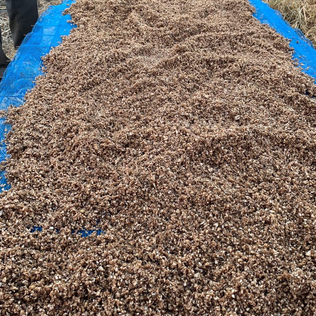 有機栽培ごぼう使用 自家焙煎ごぼう茶 100g