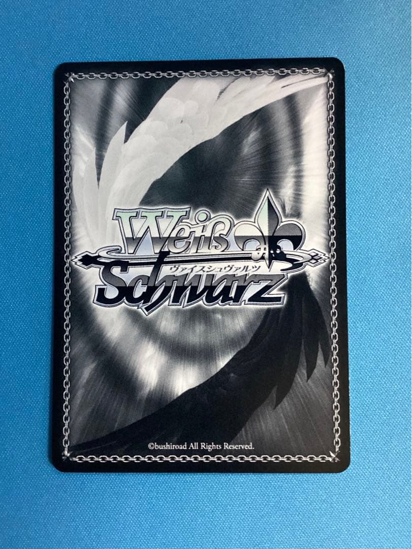 WS 気になっちゃう背中 SEC