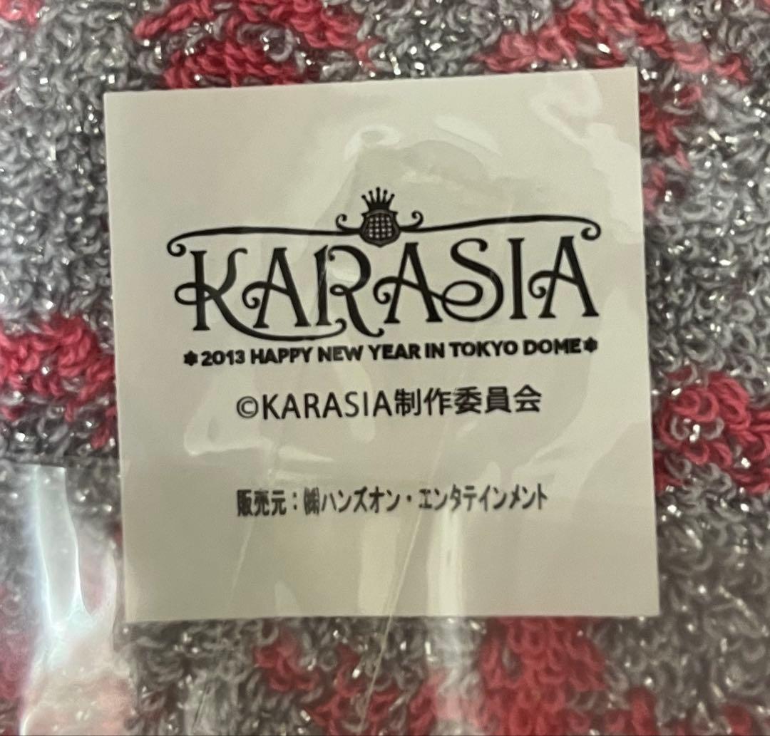 【未開封】KARA グッズ 6点セット KARASIA ライブタオル
