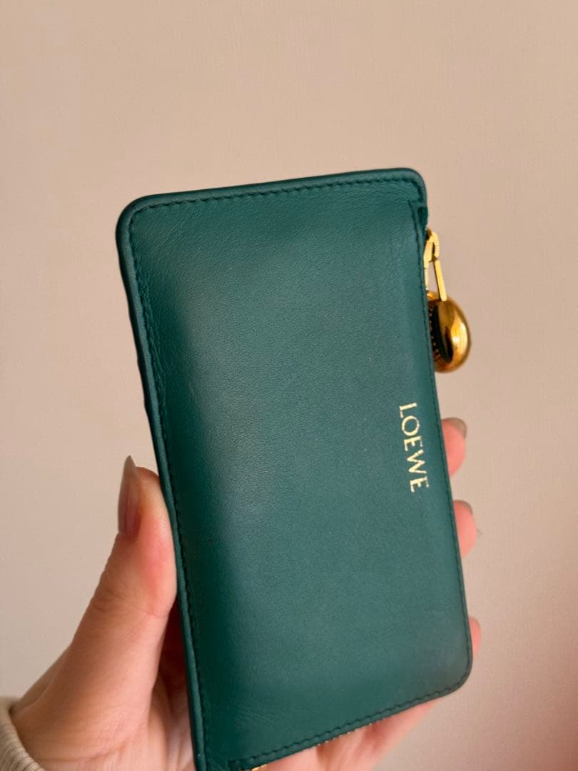 LOEWE グリーン レザー ケース