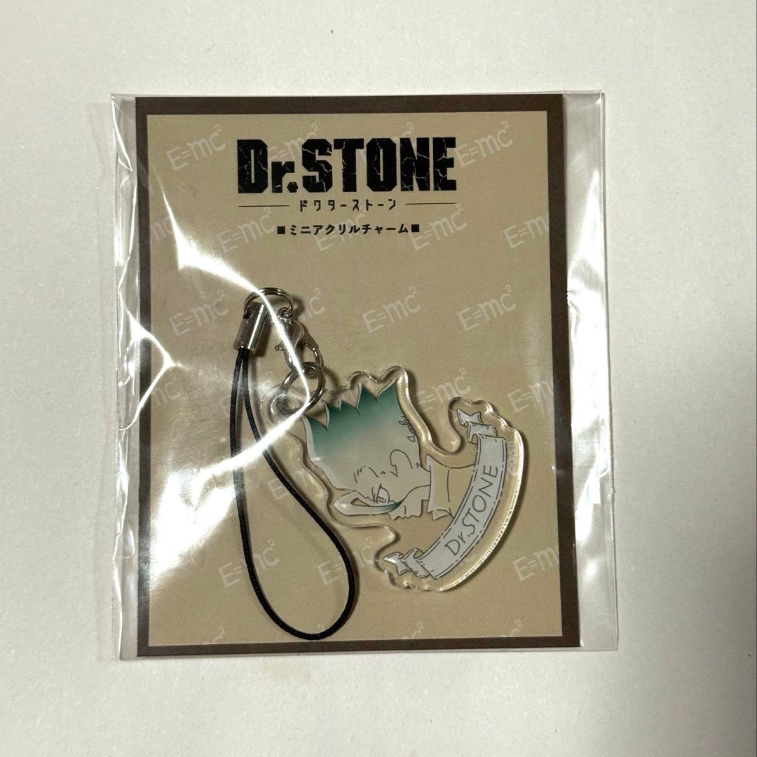 Dr.STONE 石神千空 ミニアクリルチャーム
