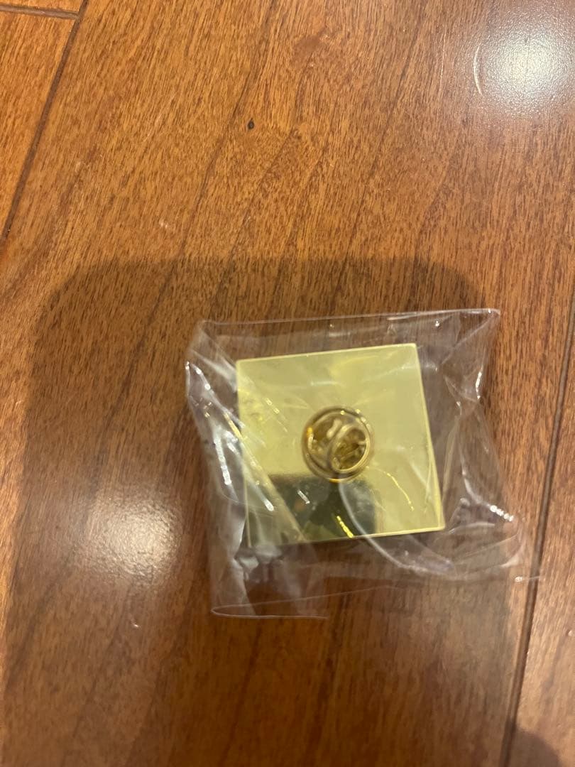 ロッドスチュワート　アリーナ席限定グッズ