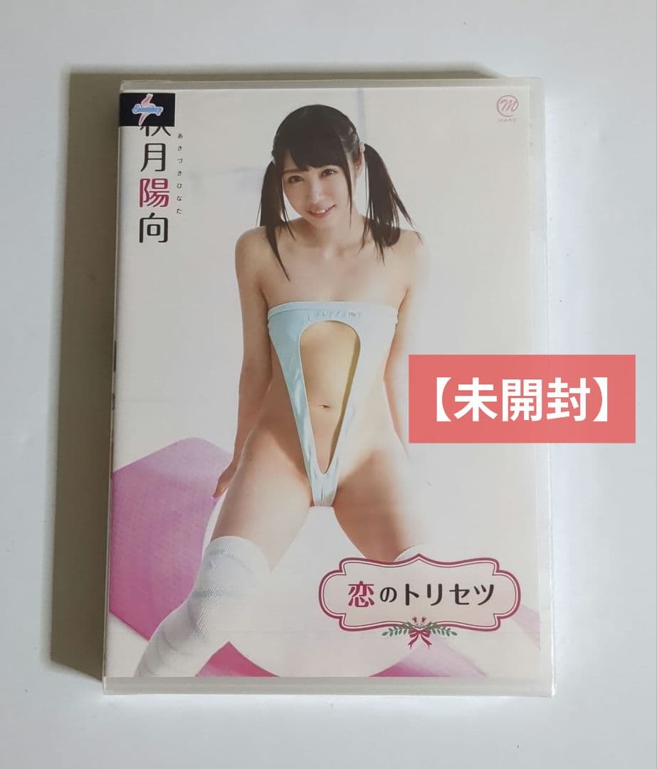 秋月陽向/恋のトリセツ　など10枚セット　ケースなし