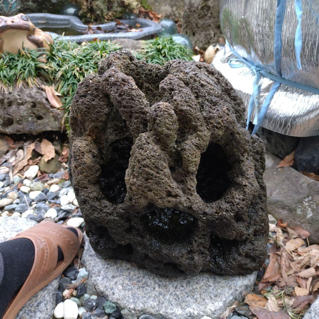 黒い溶岩石 水槽用石 大型