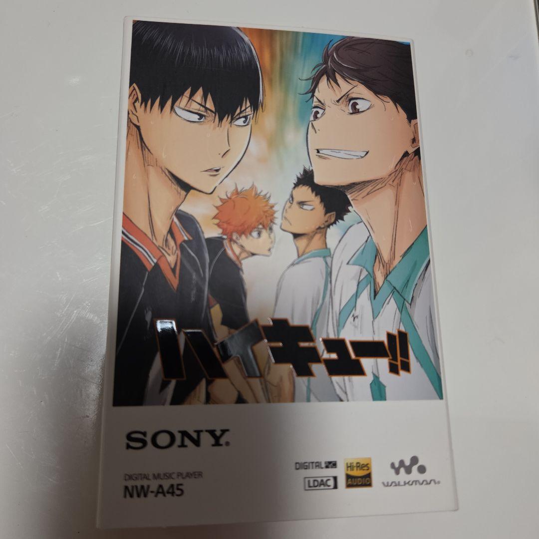 SONY NW-A45 ハイキュー!! デジタル音楽プレイヤーセット