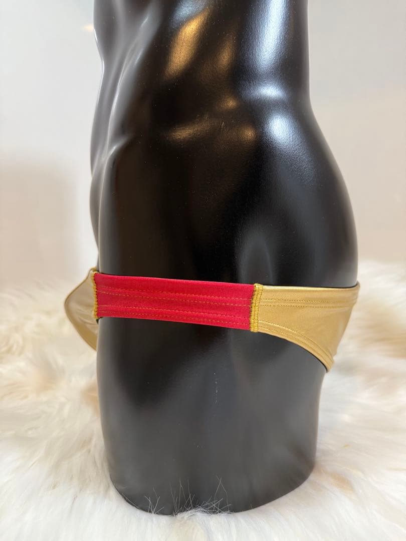 AQUX【新品未使用】完売品⭐︎Shallow Bikinis 3Lサイズ✨