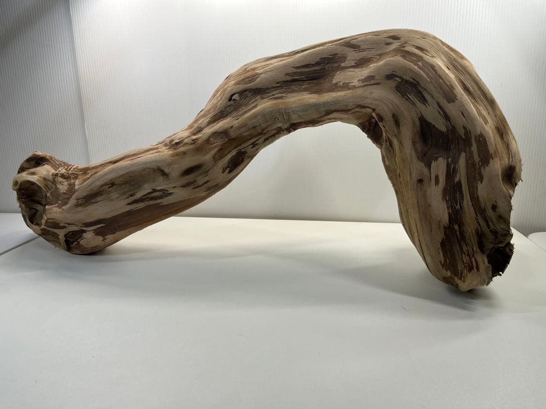 m24特大流木 アク抜き済み 爬虫類シェルター 登り木 レイアウト用 インテリア