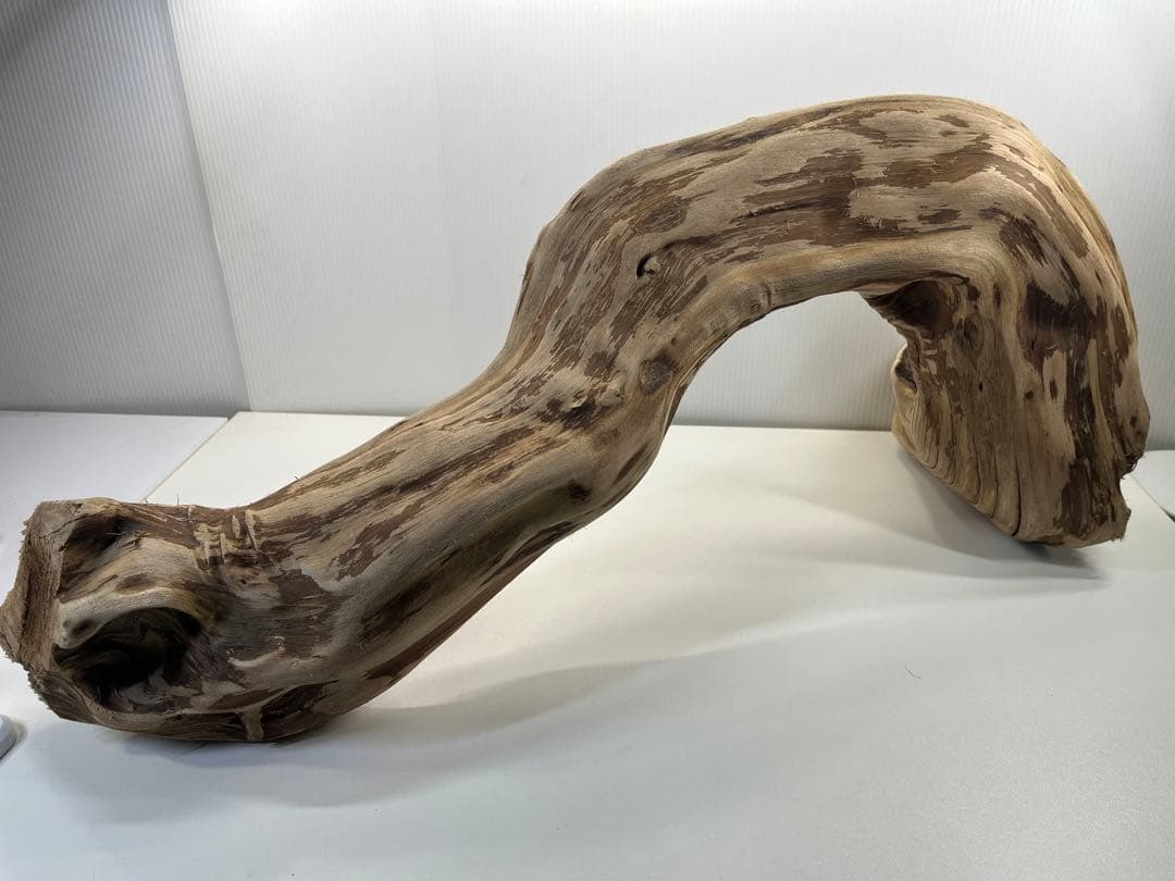 m24特大流木 アク抜き済み 爬虫類シェルター 登り木 レイアウト用 インテリア