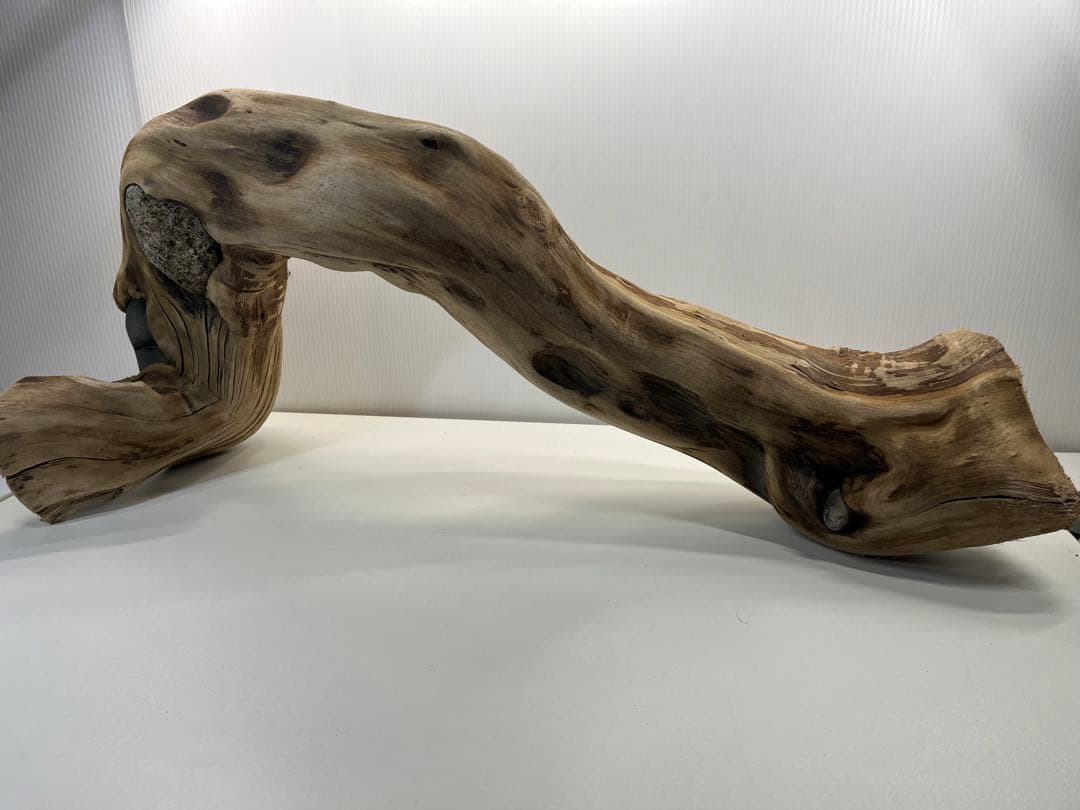 m24特大流木 アク抜き済み 爬虫類シェルター 登り木 レイアウト用 インテリア