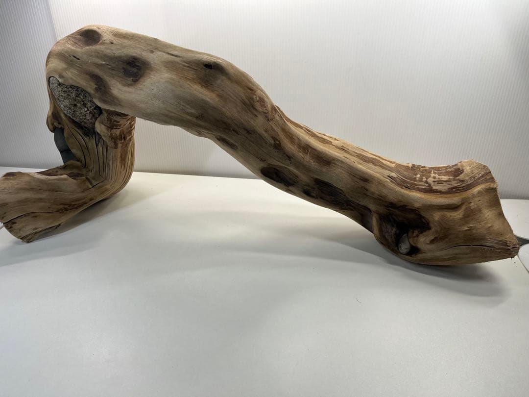 m24特大流木 アク抜き済み 爬虫類シェルター 登り木 レイアウト用 インテリア