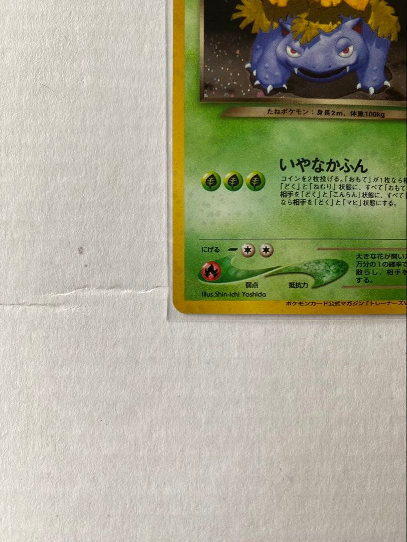 【旧裏ポケカ/プロモカード】わるいフシギバナ&わるいフシギソウ