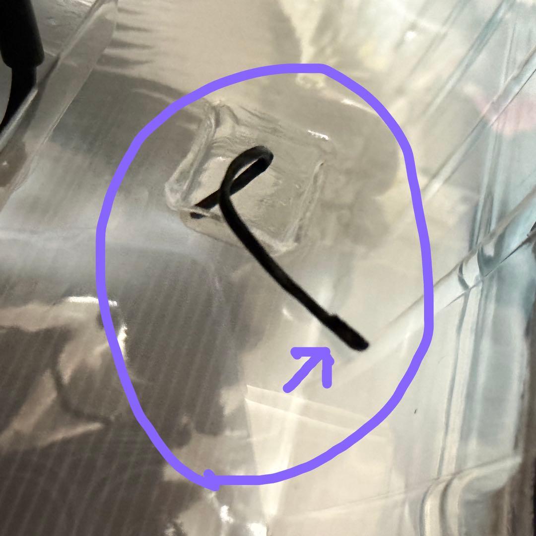 すーぱーそに子　ボンテージver. 1/7フィギュア　オーキッドシード