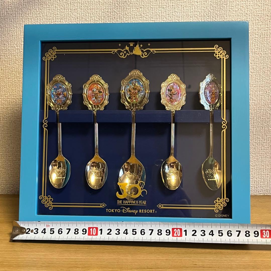 【ディズニーランド30周年スーベニアスプーン】 ケース付き　東京　TDL TDR