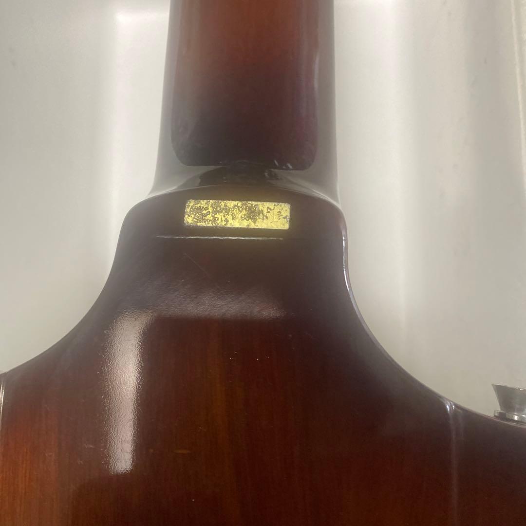 ギター Meriken by Samick