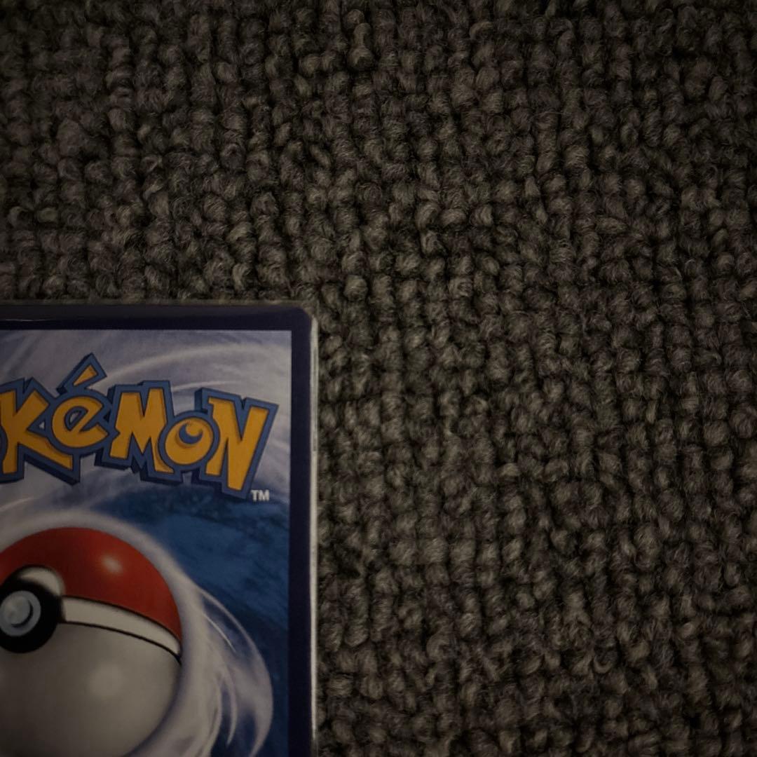 0*7様 Pikachu with Gray Fish Hat 　ゴッホピカチュ