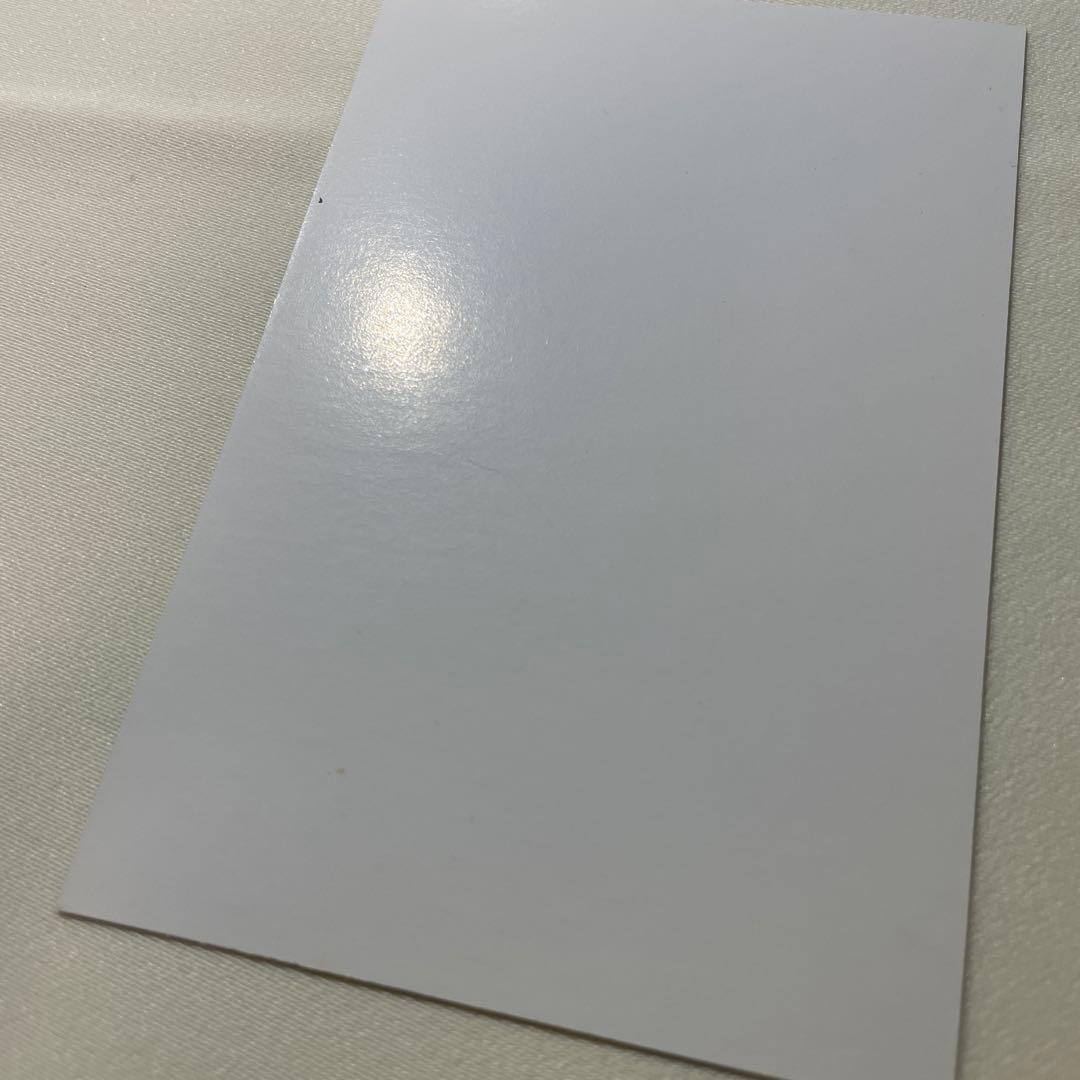 ジョジョ リアルペイントシート ボックス特典 DIO