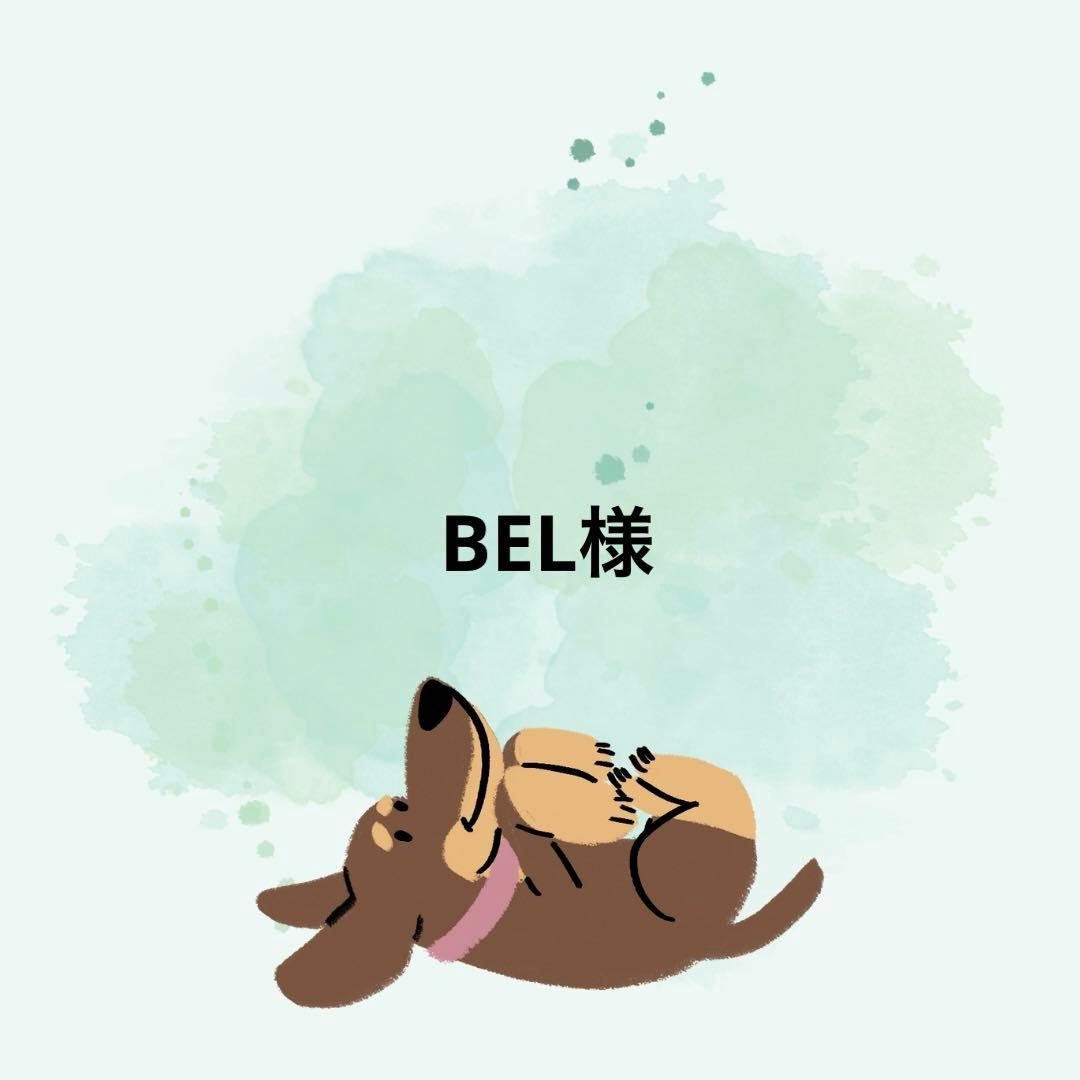 BEL様