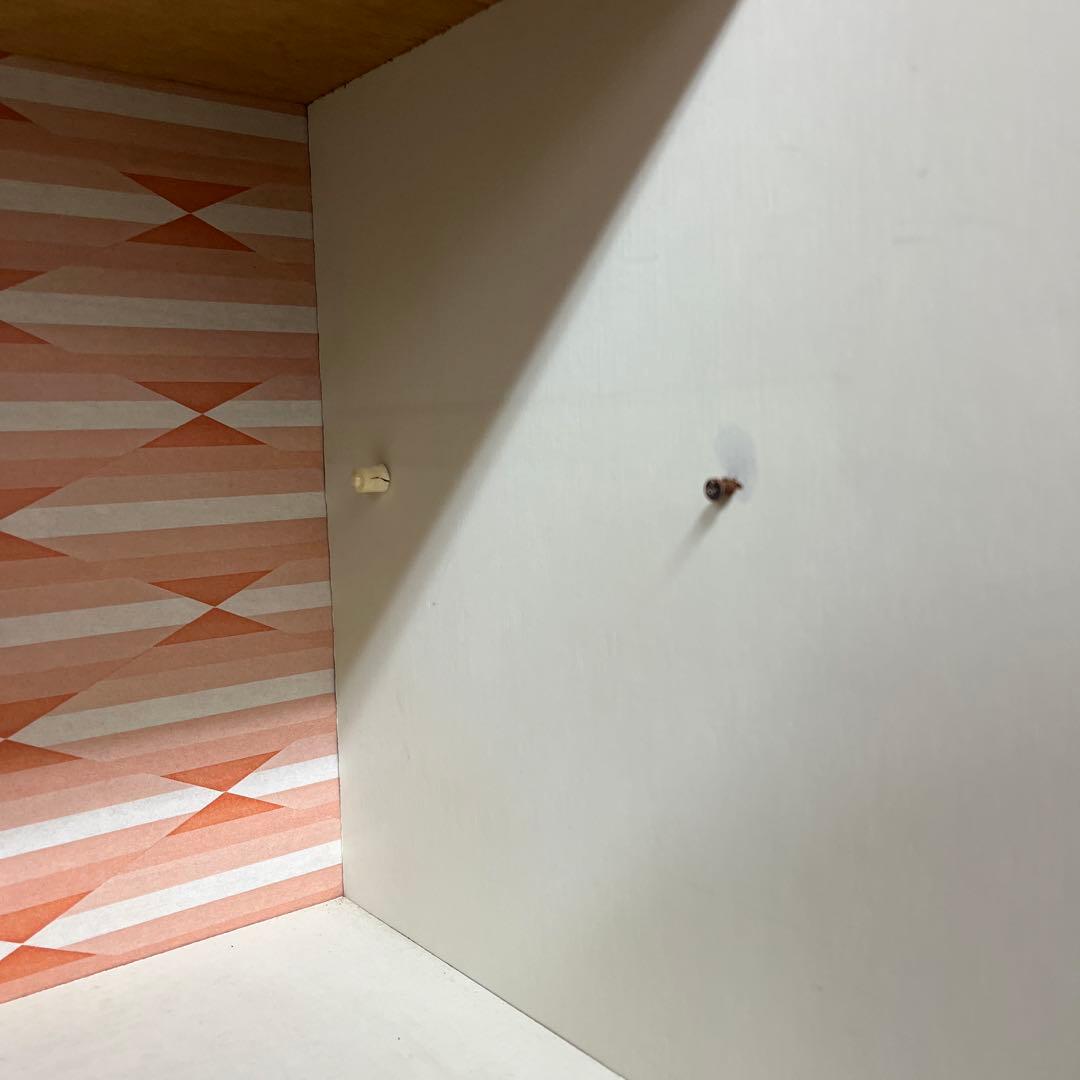 昭和レトロ　レトロポップ　飾り棚　ショーケース　オレンジ　古家具　インテリア