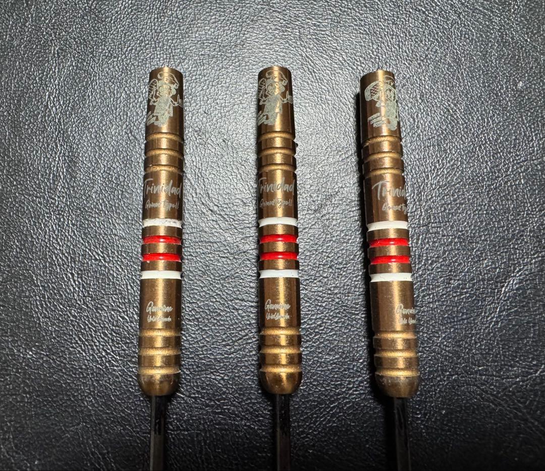 激レア トリニダード ゴメス11 山田勇樹モデル 限定モデル スティール 23g