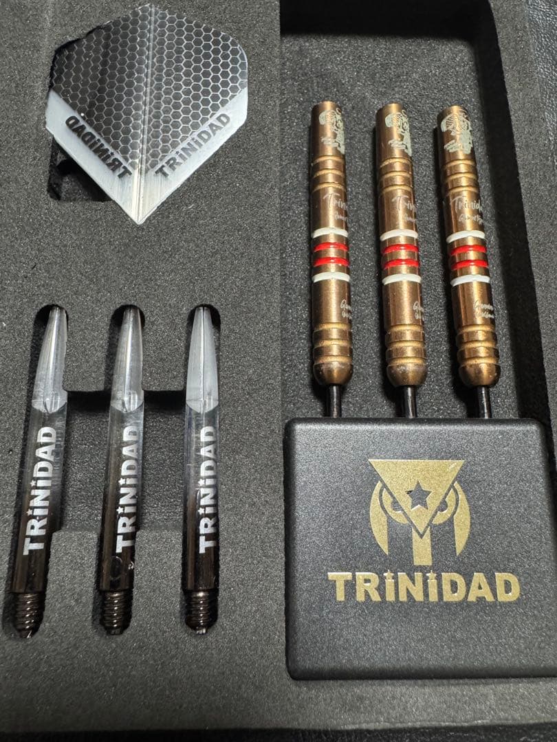 激レア トリニダード ゴメス11 山田勇樹モデル 限定モデル スティール 23g