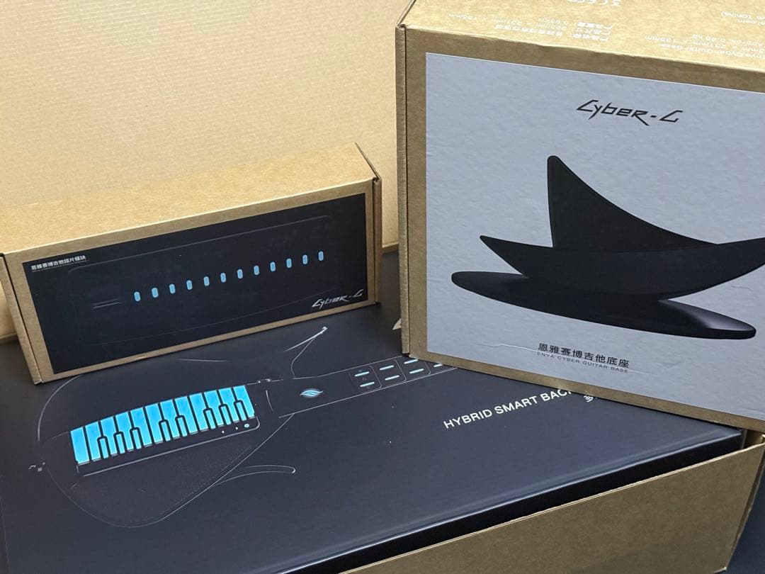 L*Q様 Enya Cyber-G キーボードver. ピックモジュール&スタン