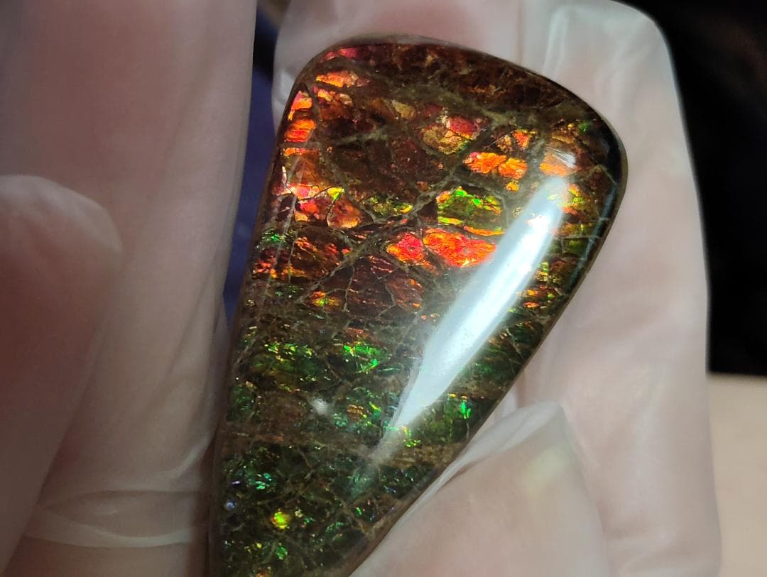 アンモライト・ルース　24-1411 45000