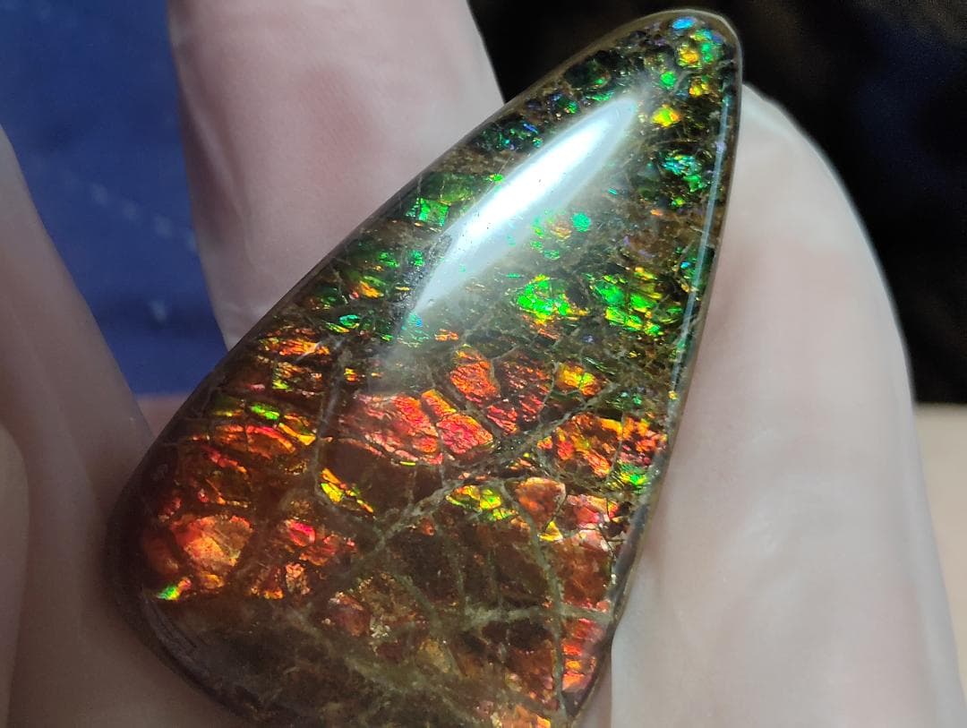 アンモライト・ルース　24-1411 45000